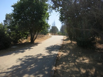 Enlarge photo 102
