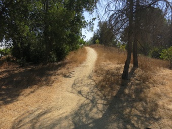 Enlarge photo 103