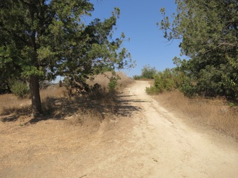 Enlarge photo 105