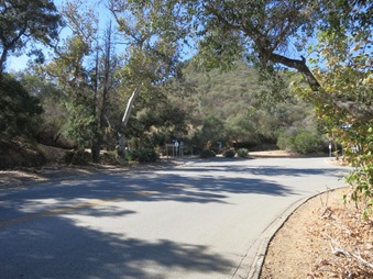 Enlarge photo 3