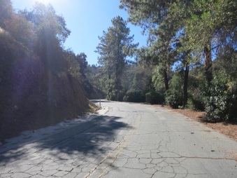Enlarge photo 10