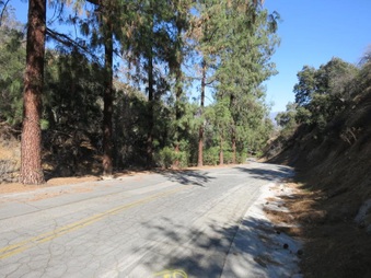 Enlarge photo 11