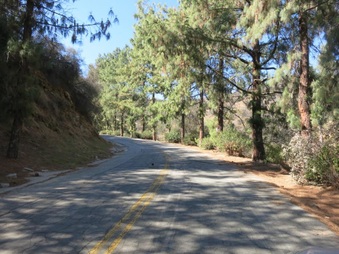 Enlarge photo 13