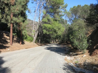 Enlarge photo 14