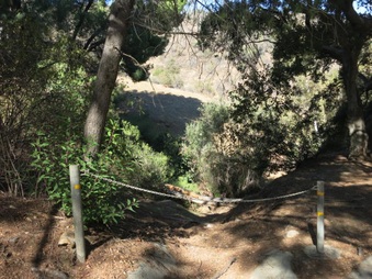Enlarge photo 15