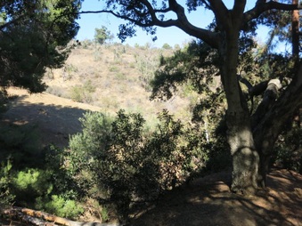 Enlarge photo 16