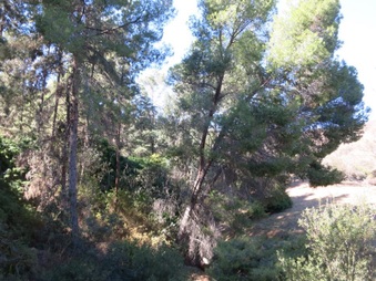 Enlarge photo 17