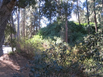Enlarge photo 18