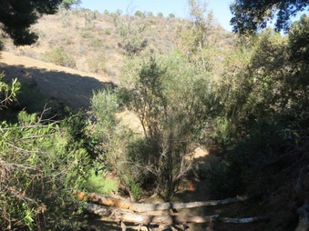 Enlarge photo 19