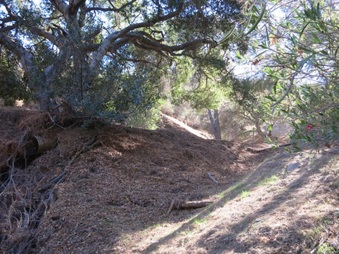 Enlarge photo 20