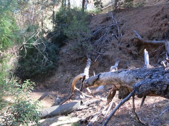 Enlarge photo 21