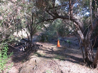 Enlarge photo 22