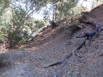Enlarge photo 24