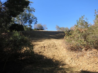 Enlarge photo 25