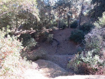 Enlarge photo 26