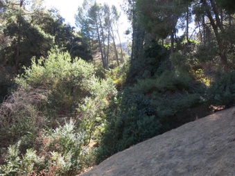 Enlarge photo 27