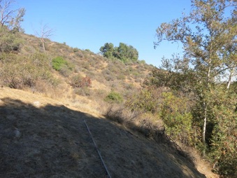 Enlarge photo 28