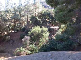 Enlarge photo 29