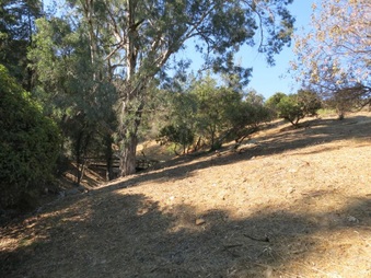 Enlarge photo 30