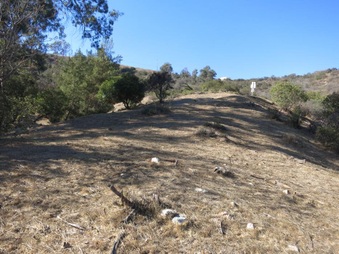 Enlarge photo 31