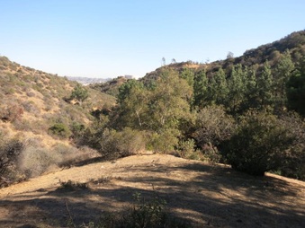 Enlarge photo 33