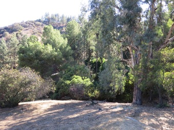 Enlarge photo 34