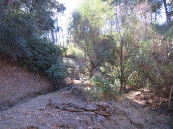 Enlarge photo 35