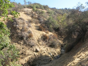 Enlarge photo 37