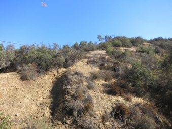 Enlarge photo 38