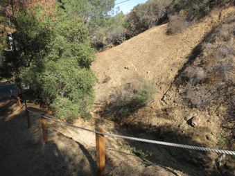 Enlarge photo 39
