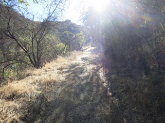 Enlarge photo 40