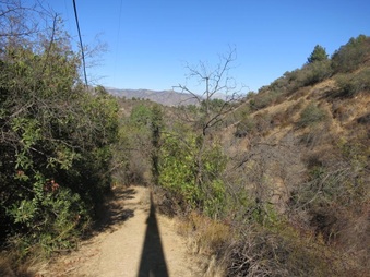 Enlarge photo 41