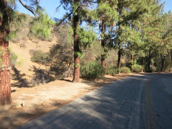 Enlarge photo 42