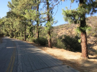 Enlarge photo 43