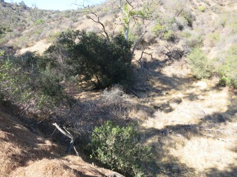 Enlarge photo 44
