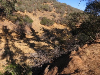 Enlarge photo 45