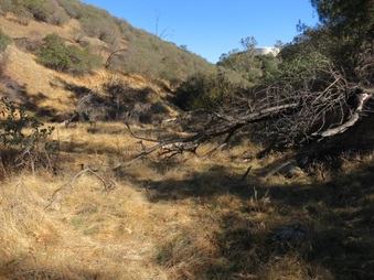 Enlarge photo 46
