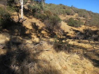 Enlarge photo 47