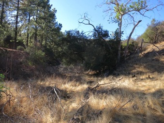 Enlarge photo 49