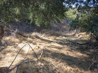 Enlarge photo 51