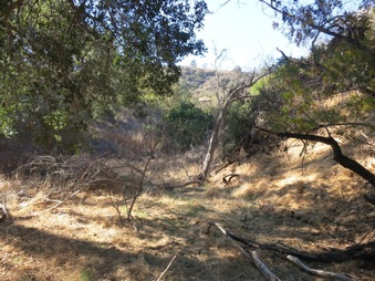 Enlarge photo 52