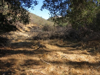 Enlarge photo 53
