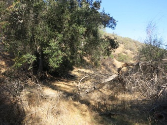 Enlarge photo 54