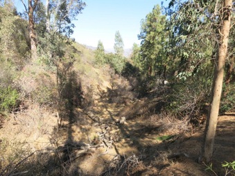 Enlarge photo 56