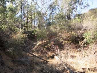 Enlarge photo 58