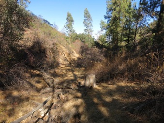 Enlarge photo 59