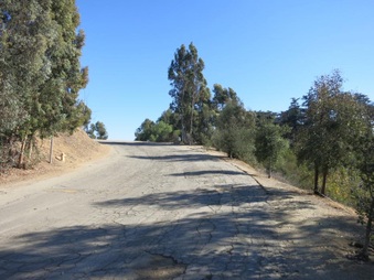 Griffith Park - Cedar Grove