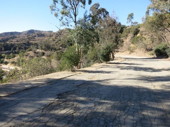 Enlarge photo 2