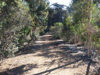 Enlarge photo 7