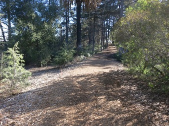 Enlarge photo 8